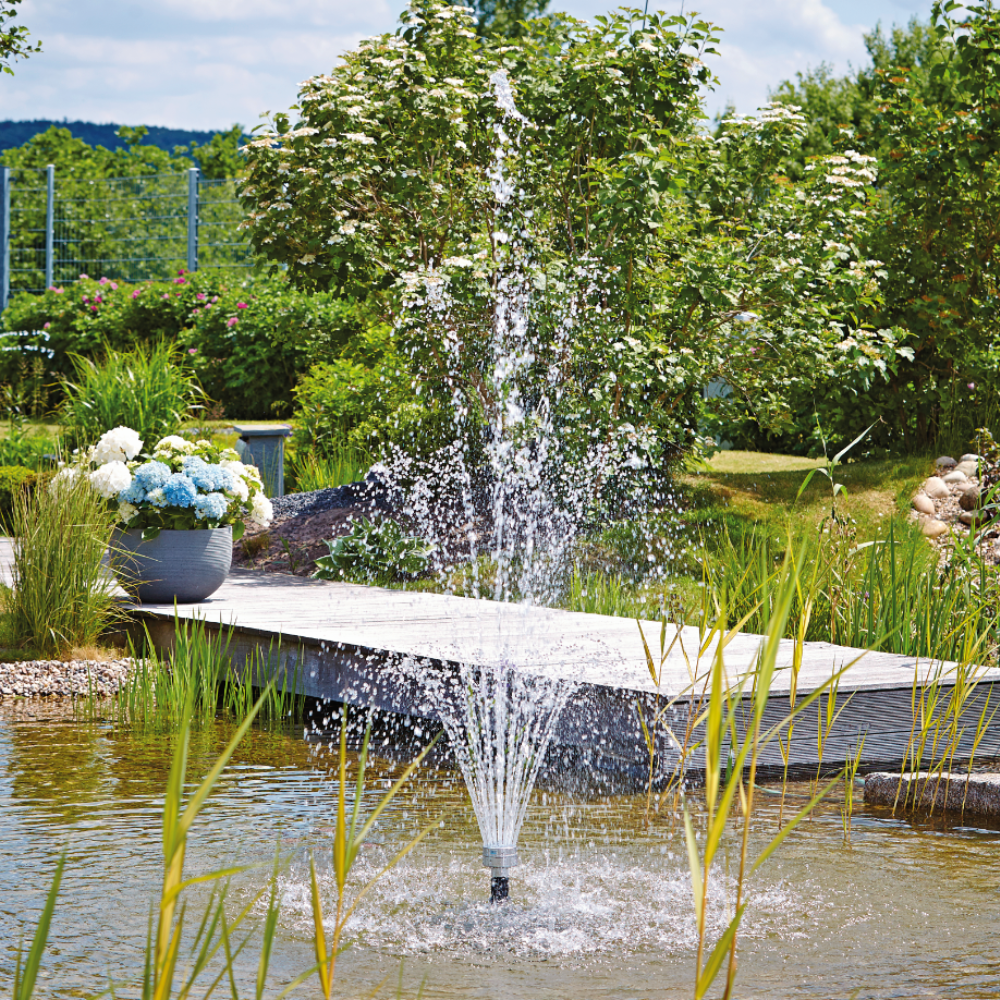 Oase Vulkan 43 - 3 Silber im Teich