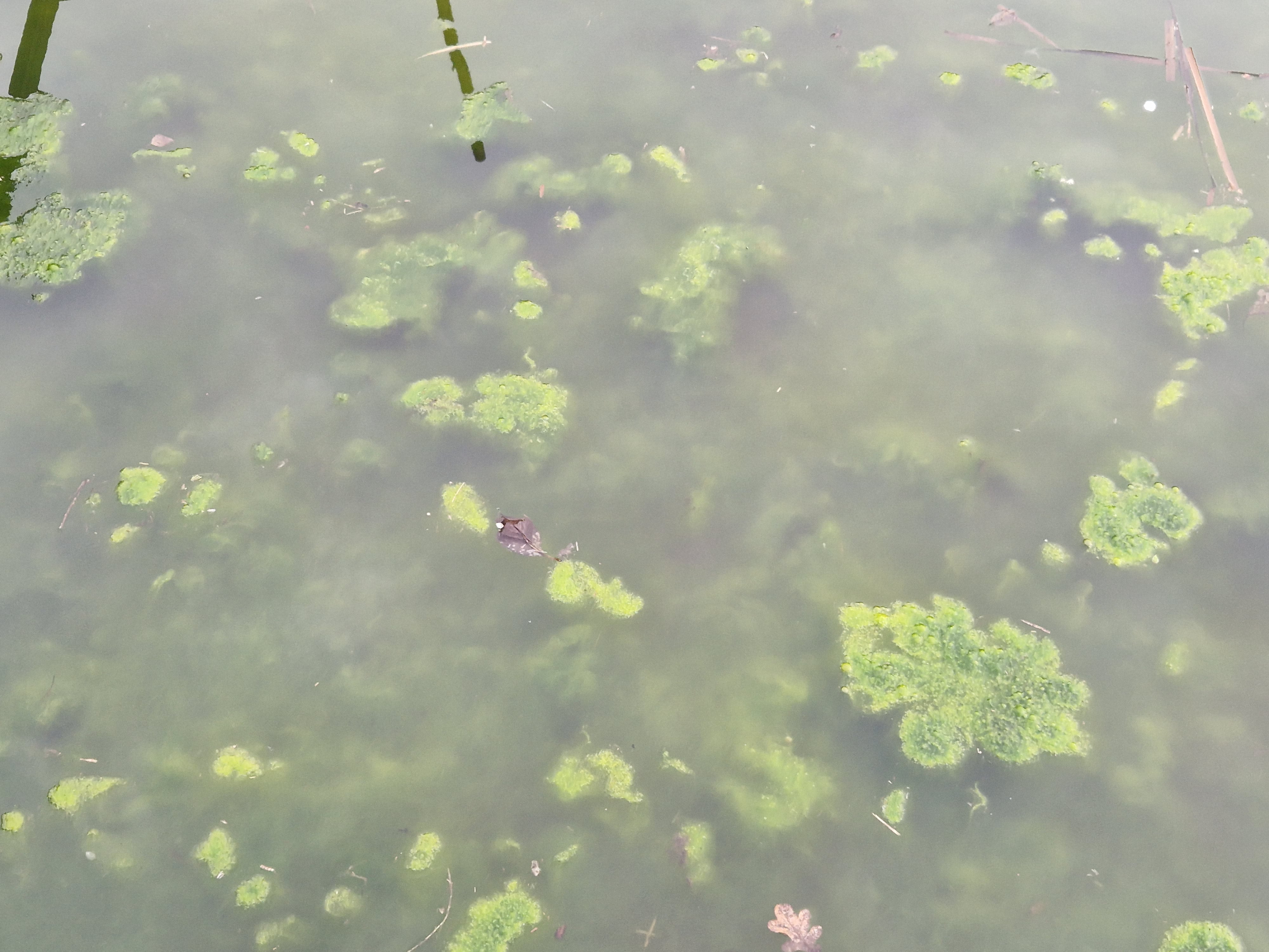 Substrat_Gesteinsanalyse_Produktbild