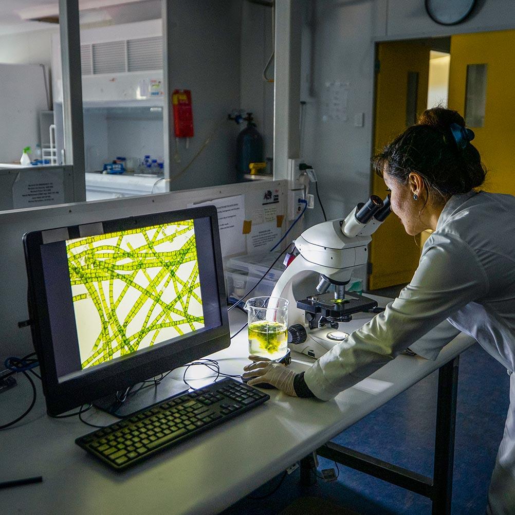 Algenanalyse - geteisa.de