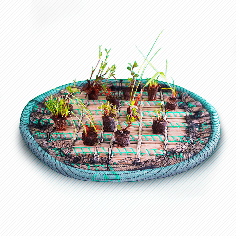 Pflanzeninsel Ø ca. 60 cm mit oder ohne Teichpflanzen - geteisa.de