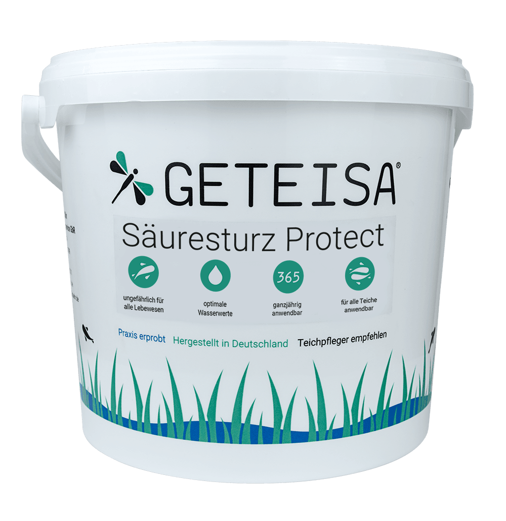 Saeuesturz Vorderseite