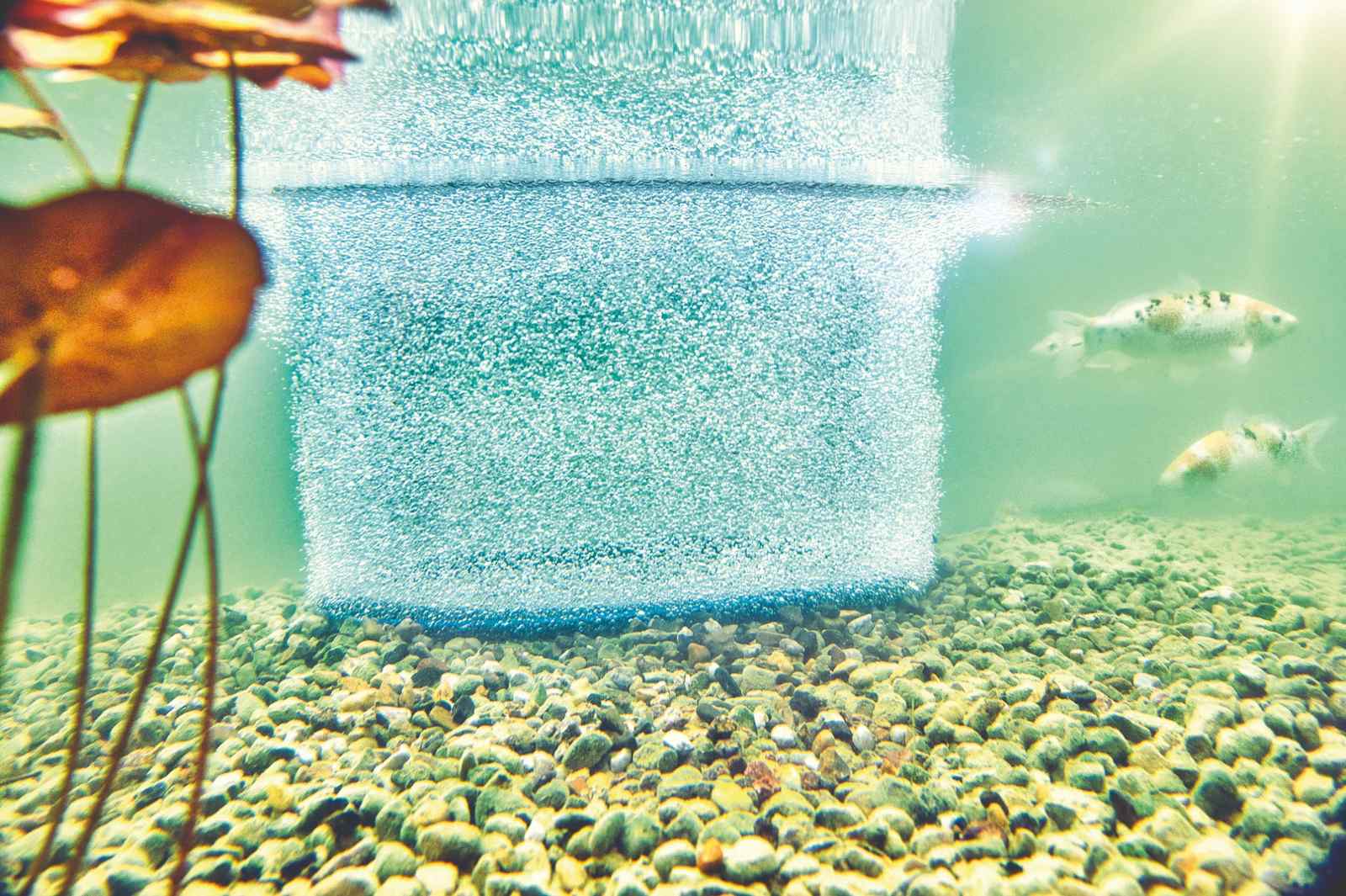 Teichbelüfter unter Wasser in einem Teich