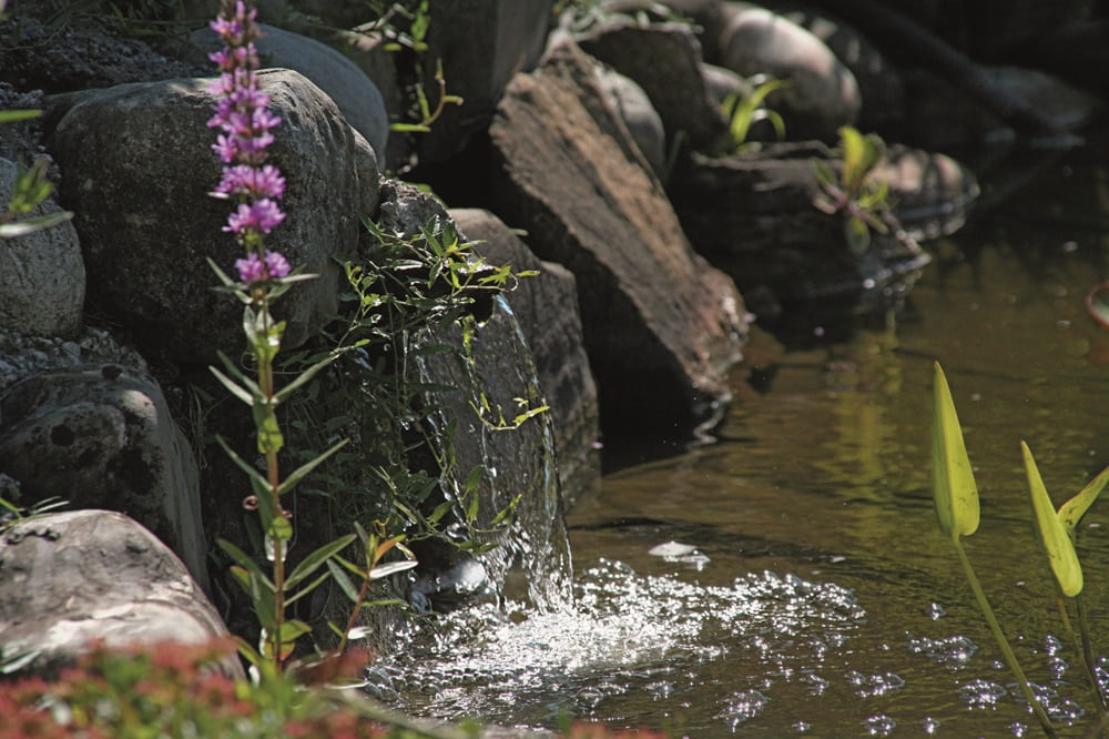 Wasserbewegung mit Teichtechnik