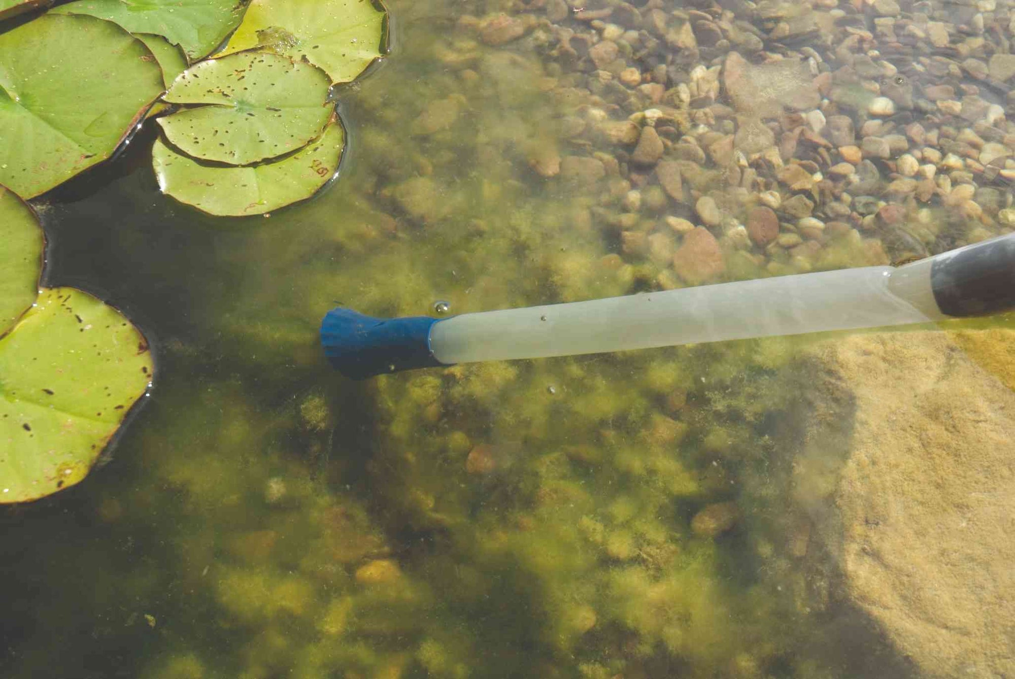 Teichsauger beim Reinigen von einem Teich