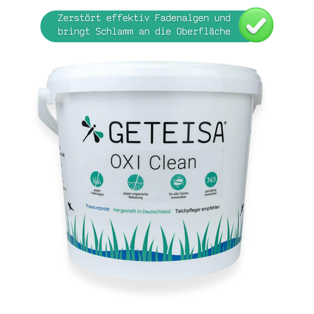 OXI CLEAN gegen Fadenalgen