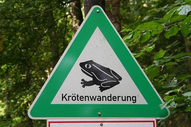 kroetenwanderung