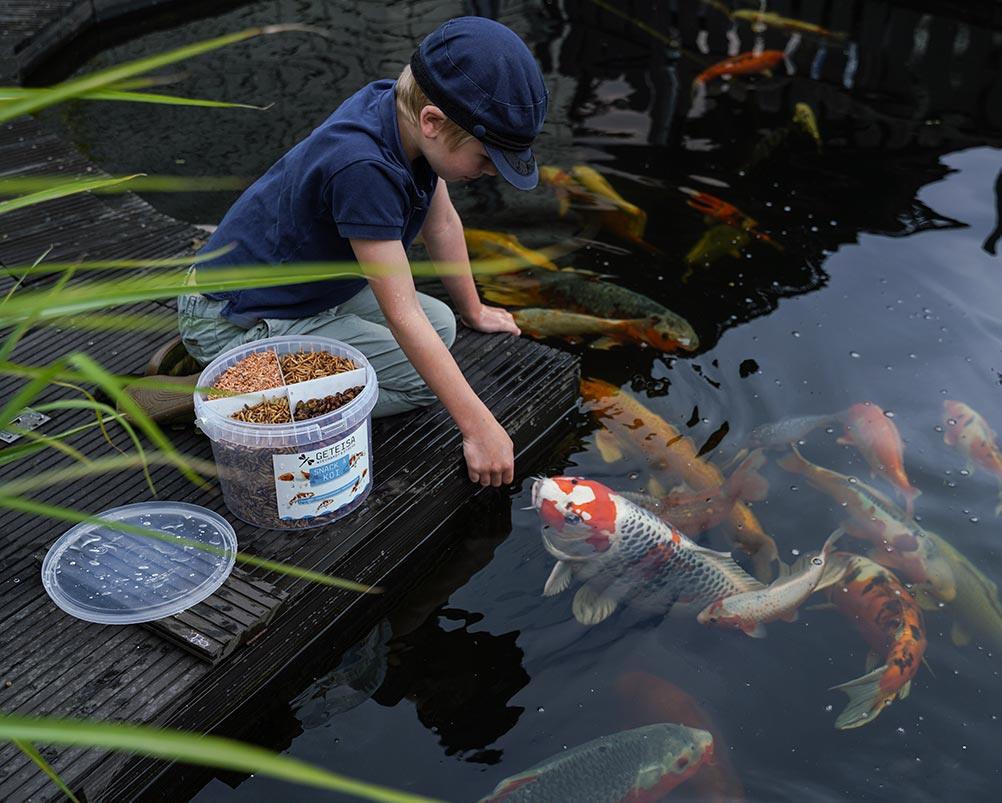 Koi und Goldfischfutter - geteisa.de