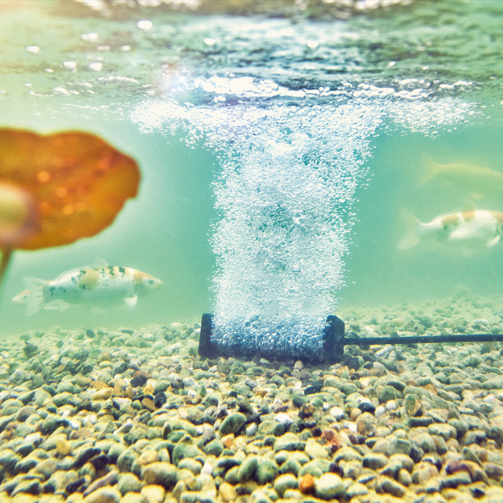 Oase AquaOxy Belüfterstab S im Teich