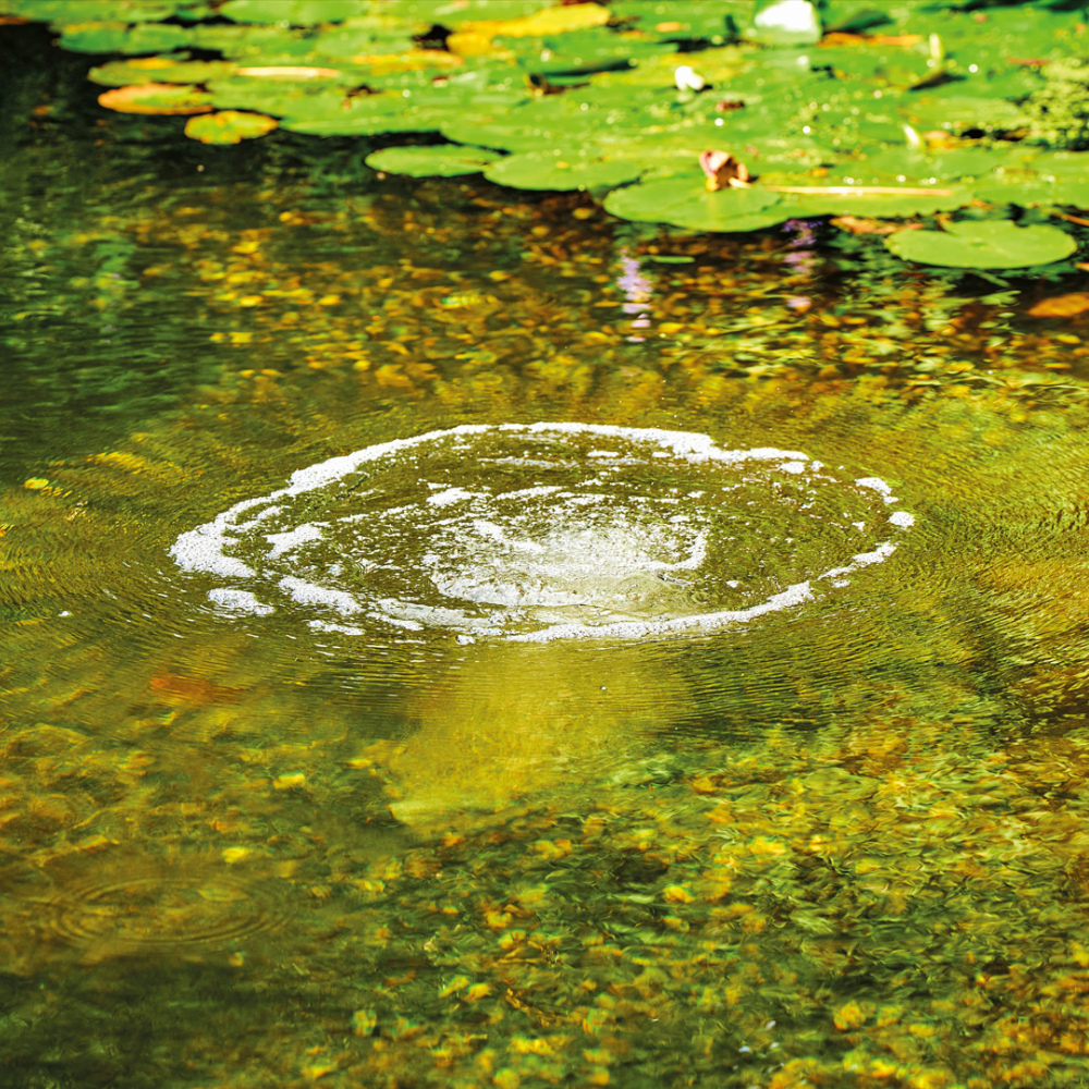 Oase AquaOxy Belüfterstab S im Teich