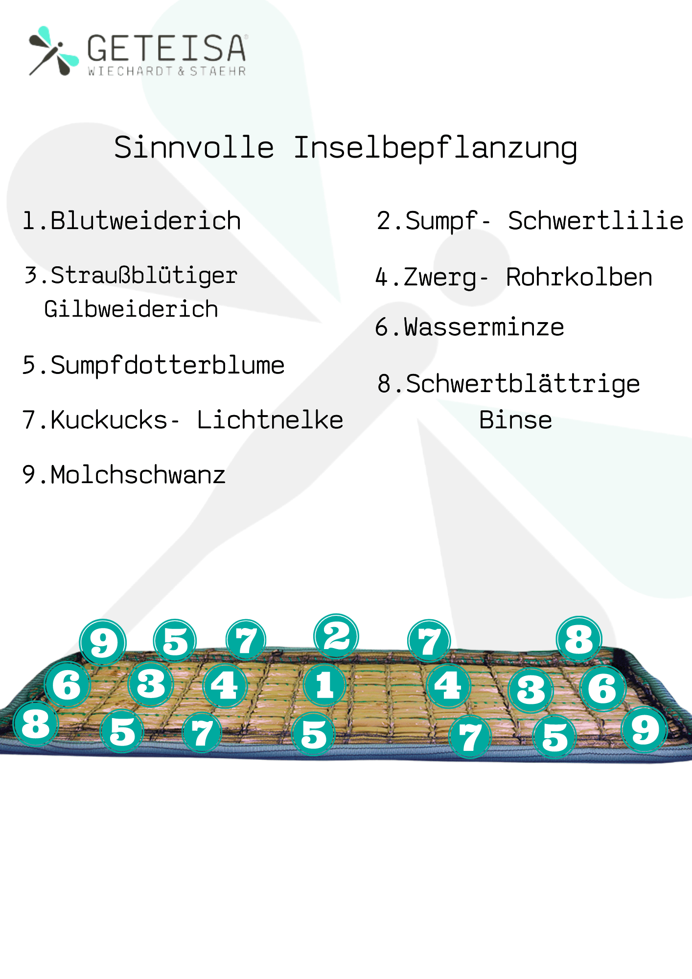 Pflanzeninsel_Pflanzenplan_rechteckig