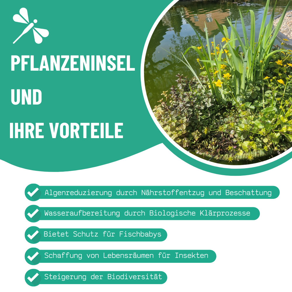 Pflanzeninsel_vorteile