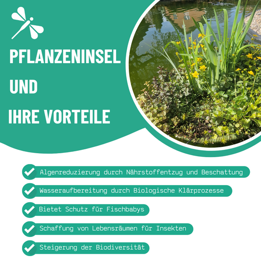 Pflanzeninsel_vorteile