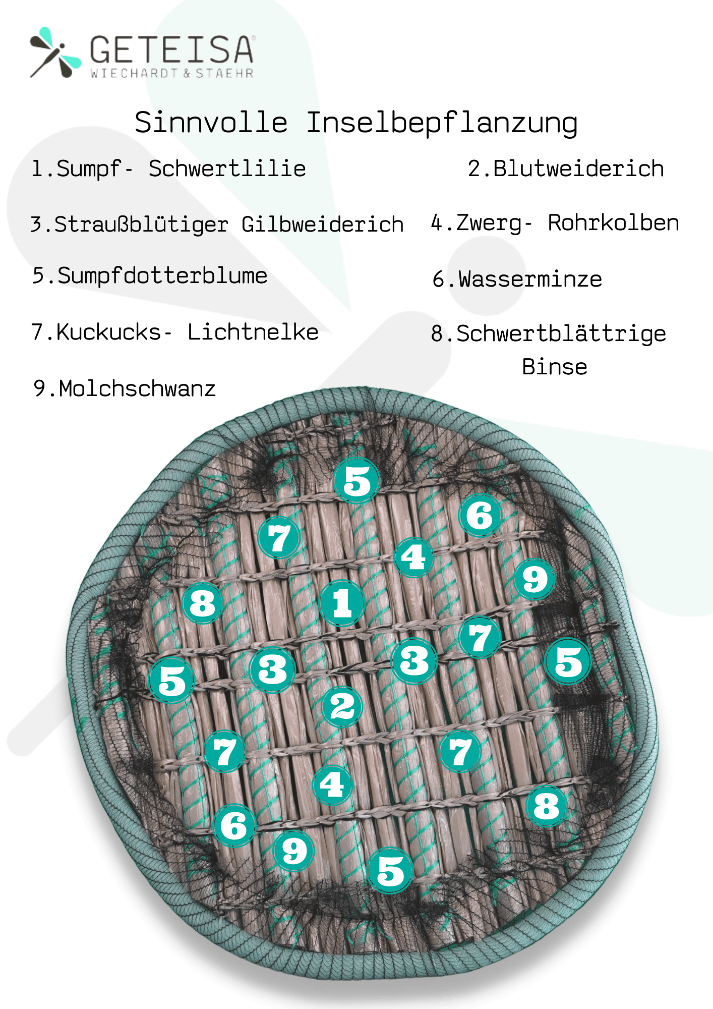 Pflanzeninsel_Planzplan_80er