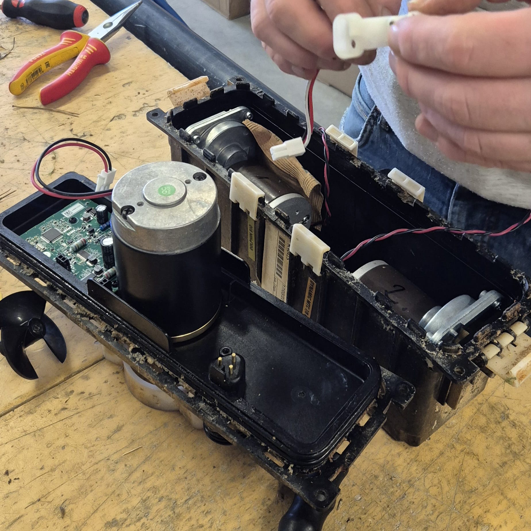 Schwimmteichroboter_Service