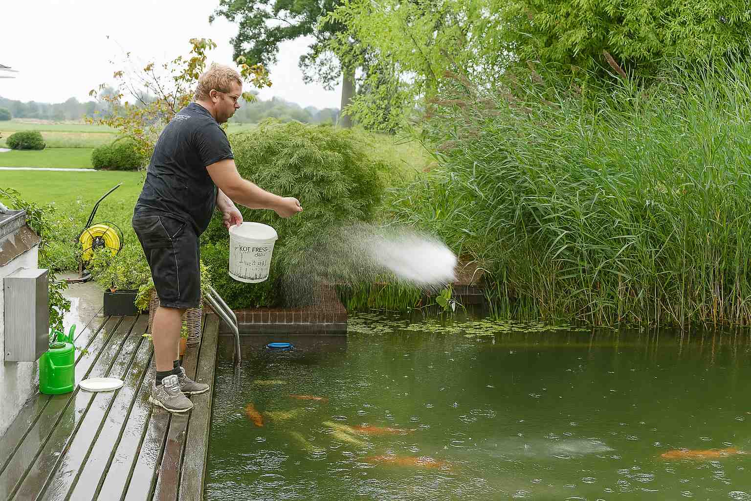 Algenentferner Anwendung am Teich