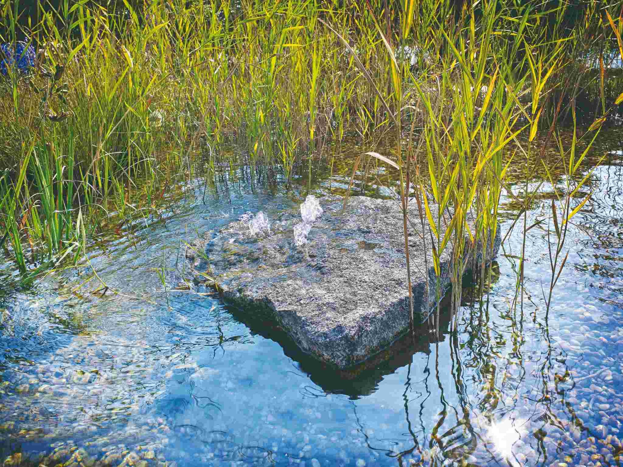 Wasseraufbereiter Teich mit Springbrunnen