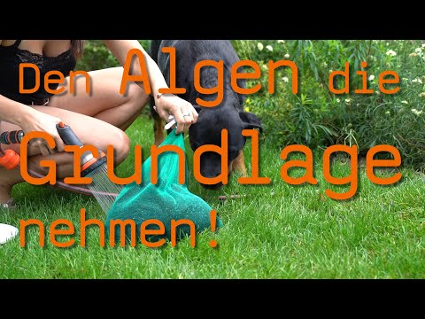 Video laden: 