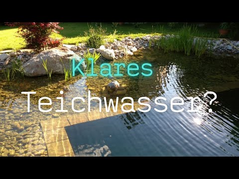klare_teichwasser_im_Garten
