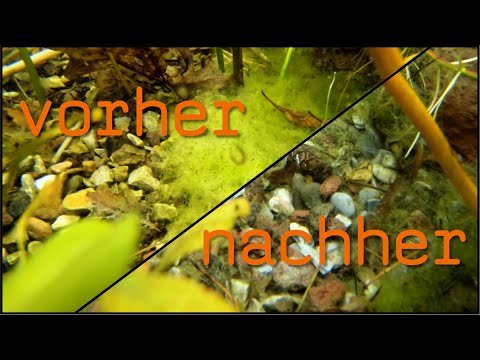 Video laden: 