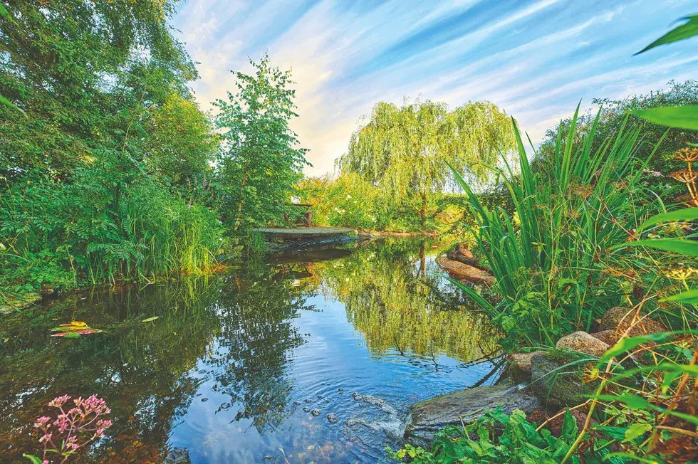 Teichlandschaft mit Teichdruckfilter